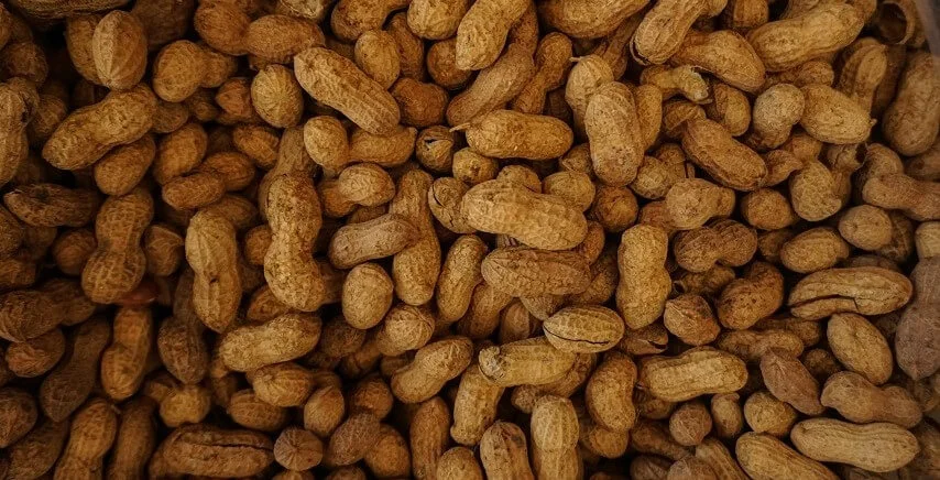 Can Peanut Butter Cause Constipation