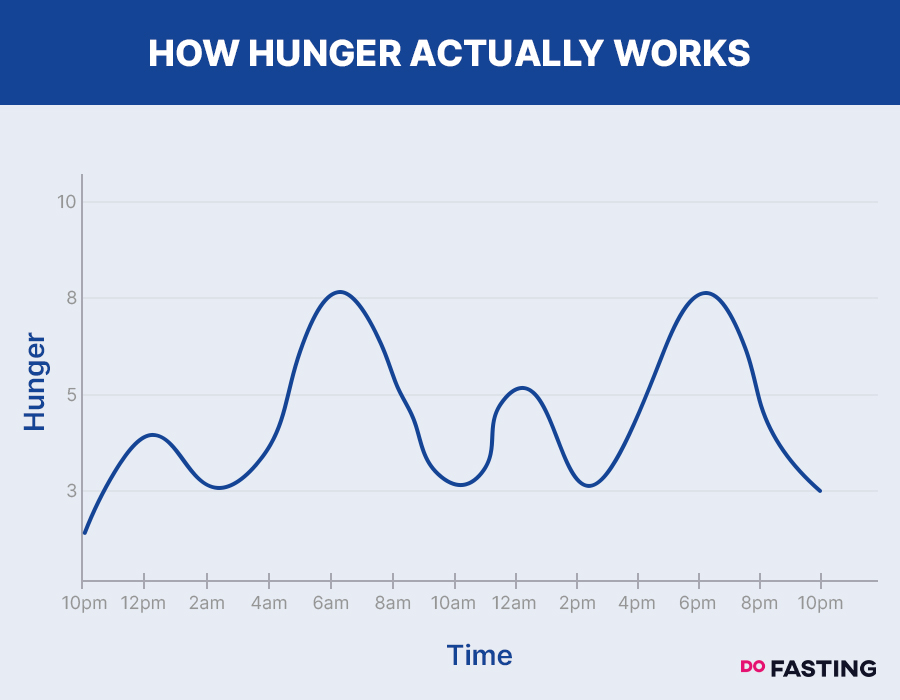 How hunger actually works